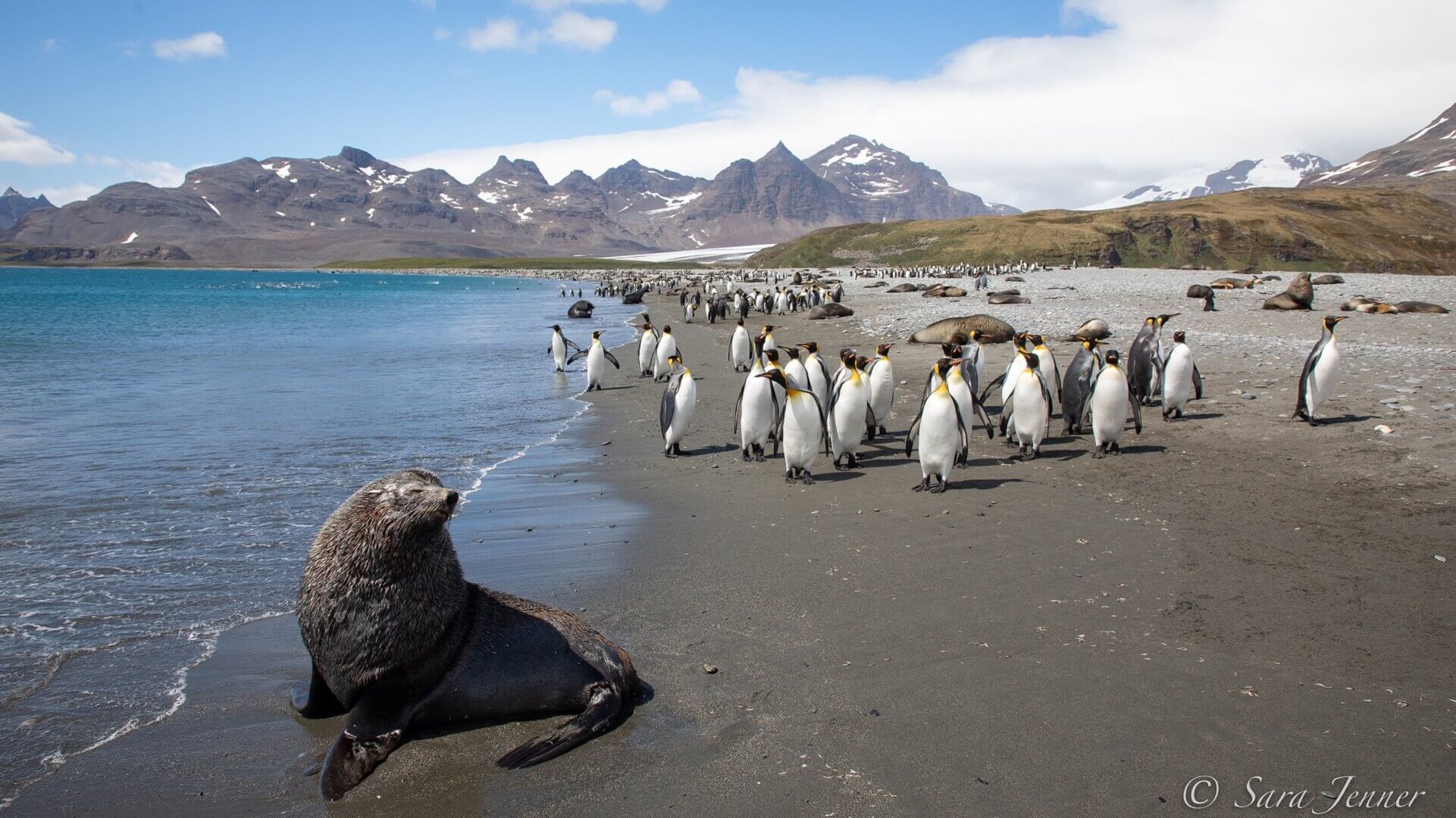 Arktis Tours - Expedition Weddell Meer und Larsen Ice Shelf