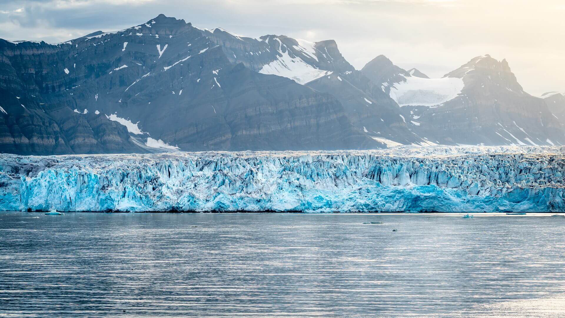 Arktis Tours - Spitzbergen im Eis – Fotoreise an Bord der MS Vikingfjord