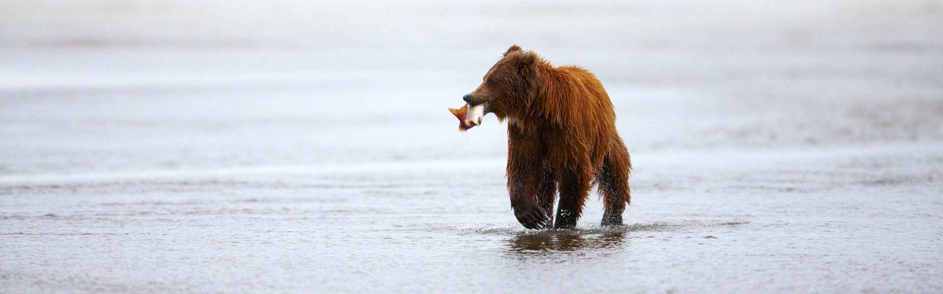 © Chris McLennan_Travel Alaska