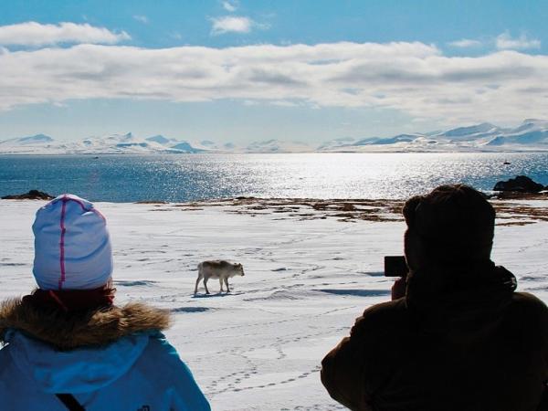 Arktis Tours - MS Quest Frühlingserwachen auf Spitzbergen