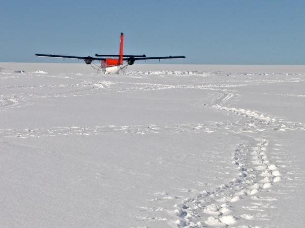 Arktis Tours - Flugexpedition zu Südpol und Kaiserpinguinen - Flugfeld