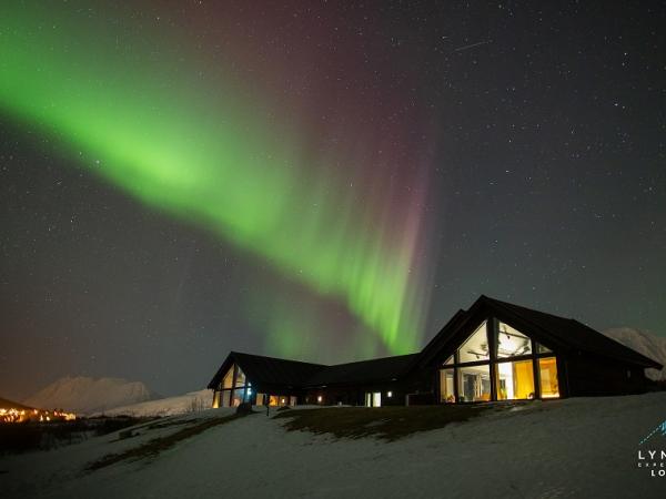 Arktis Tours - Spektakuläre Panoramen am Fuße der Lyngen Alpen