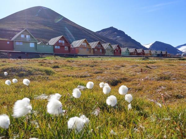 Arktis Tours, Hurtigruten Svalbard, Häuser