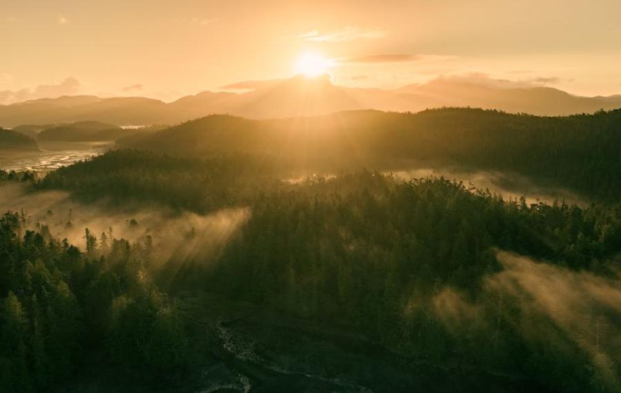 Arktis Tours, Maple Leaf Adventures, Great Bear Rainforest
