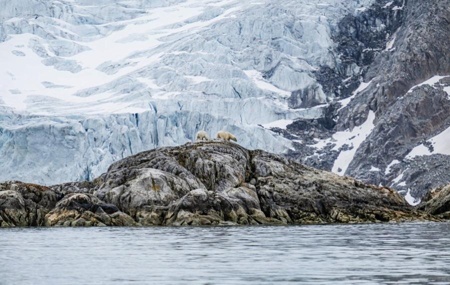 © D. Hamilton - Svalbard