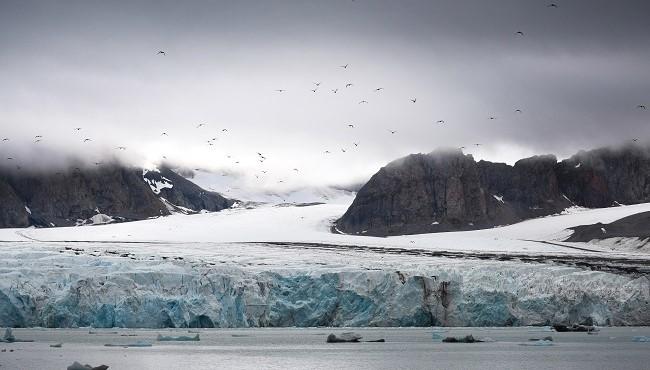 Arktis Tours - Rund um Spitzbergen