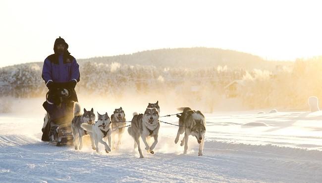 Arktis Tours - Winter Aktiv im Wilderness Hotel Inari