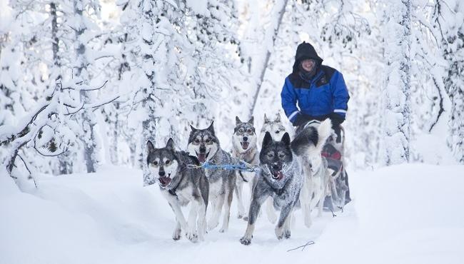 Arktis Tours - Abenteuer Nordlicht im Boutique Hotel Nangu