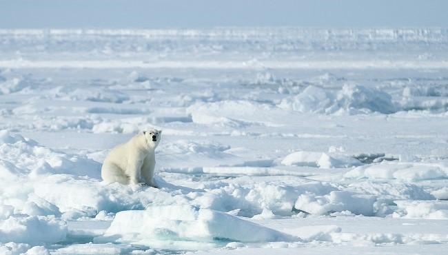 Arktis Tours - MS Quest Frühlingserwachen auf Spitzbergen