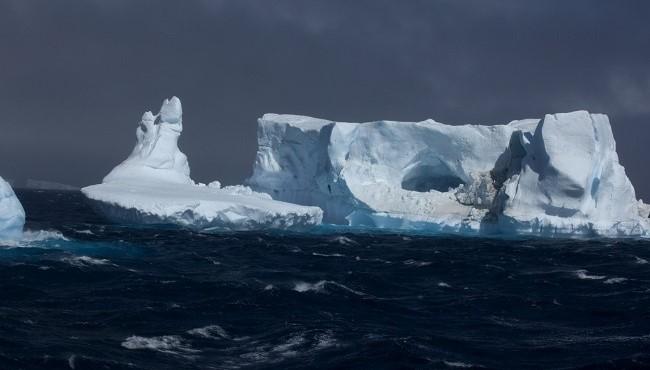 Arktis Tours – MS Ortelius – Kaiserpinguine im Weddelmeer - Tafeleisberge