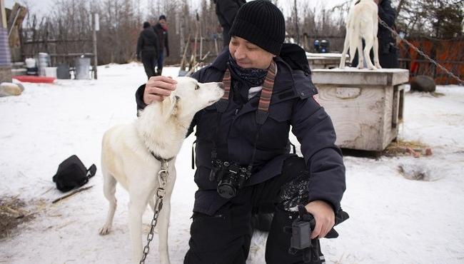 Arktis Tours - Eisbären in der Hudson Bay hautnah erleben Huskysafari