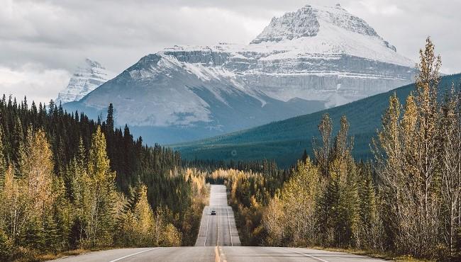 Arktis Tours Vancouver Island und die nördlichen Rockies erleben