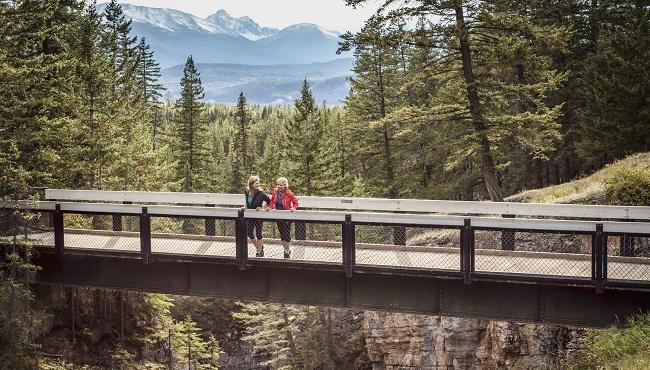 Arktis Tours Vancouver Island und die nördlichen Rockies erleben