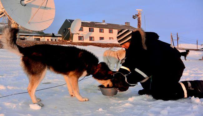 Husky Spitzbergen Basecamp Explorer