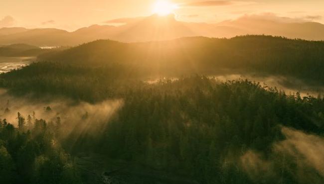 Arktis Tours, Maple Leaf Adventures, Great Bear Rainforest