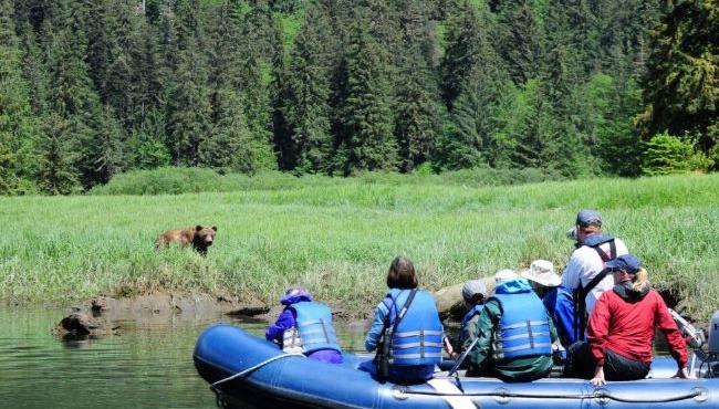 Arktis Tours, Maple Leaf Adventures, Great Bear Rainforest