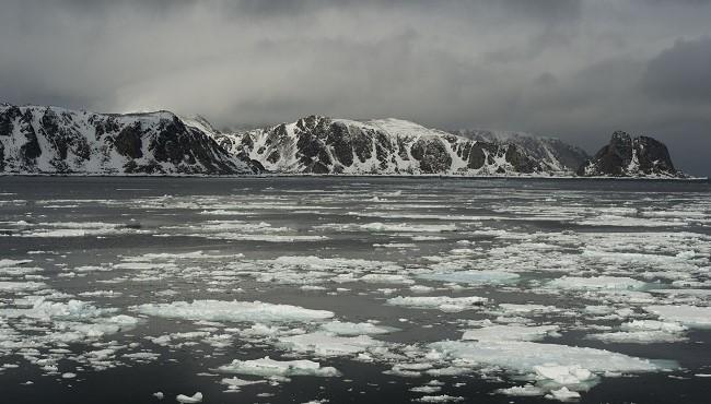 Arktis Tours - Segelreise Spitzbergen - den arktischen Sommer erleben