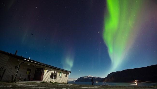 Arktis Tours - Polarlichter, Wale und Fjorde in Nordnorwegen