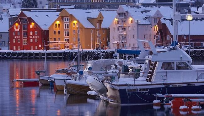 Arktis Tours - Polarlichter, Wale und Fjorde in Nordnorwegen