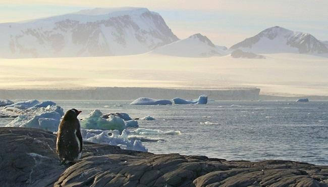 Arktis Tours - Expedition Weddell Meer und Larsen Ice Shelf