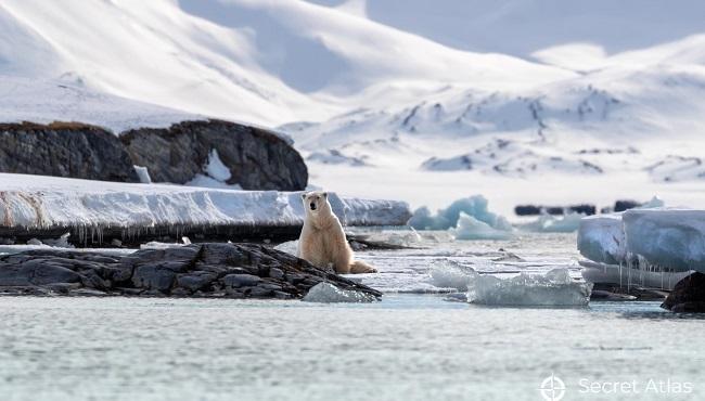 Arktis Tours - Foto-Expedition zu den Naturwundern Spitzbergens