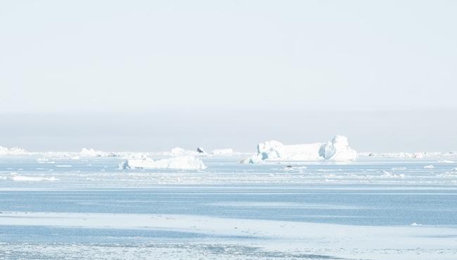 © Svalbard Grands Espaces