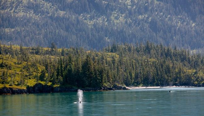 © Chris McLennan_Travel Alaska